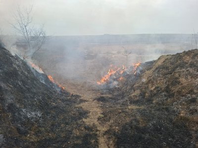 пожежа, дснс, трава пожежа, дснс, трава