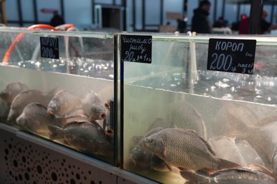 “Додали 50-60% вартості помідори”: як змінилися ціни пісного кошика на Сумщині за рік