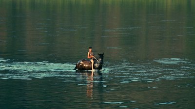 українське кіно в амстердамі українське кіно в амстердамі