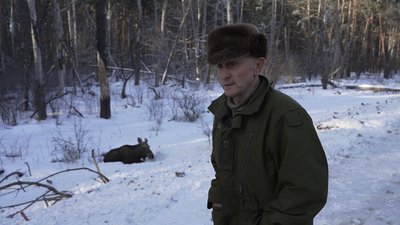 Збили лося на трасі Чернігів – Київ: чому не вдалося врятувати тварину на Чернігівщині Збили лося на трасі Чернігів – Київ: чому не вдалося врятувати тварину на Чернігівщині
