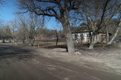 Село на сім дворів: як живуть мешканці малолюдного села на Недригайлівщині Село на сім дворів: як живуть мешканці малолюдного села на Недригайлівщині