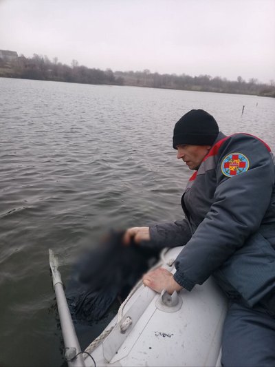 На Полтавщині знайшли у ставку тіло чоловіка На Полтавщині знайшли у ставку тіло чоловіка