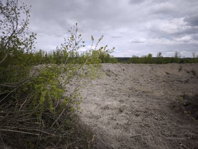 У Кострижівській громаді на Буковині планують розірвати договір із Лужанським спиртзаводом У Кострижівській громаді на Буковині планують розірвати договір із Лужанським спиртзаводом