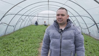 Переселенець із Каховки розвиває тепличний бізнес на Вінниччині Переселенець із Каховки розвиває тепличний бізнес на Вінниччині