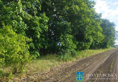 Судимість та визнання вини: що відомо про полтавця, підозрюваного у вбивстві та зґвалтуванні дитини Судимість та визнання вини: що відомо про полтавця, підозрюваного у вбивстві та зґвалтуванні дитини