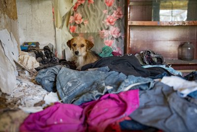 Пробув чотири місяці в окупації, а сина тримали в полоні. Історія жителя звільненого від військ РФ села на Херсонщині Пробув чотири місяці в окупації, а сина тримали в полоні. Історія жителя звільненого від військ РФ села на Херсонщині