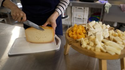 Крафтова сироварня двох сестер у Лукашівці на Чернігівщині