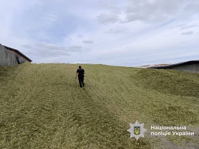Тракторист у стані сп’яніння насмерть збив двох працівників ферми на Вінниччині Тракторист у стані сп’яніння насмерть збив двох працівників ферми на Вінниччині