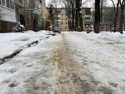Як піщано-соляна суміш впливає на лапи собак: досвід ветеринарів і власників Як піщано-соляна суміш впливає на лапи собак: досвід ветеринарів і власників