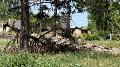 Підніжжя пам'ятника Тарасу Шевченко село Сергіївка Удачненська громада Донецька область 11 червня 2025 рік Підніжжя пам'ятника Тарасу Шевченко село Сергіївка Удачненська громада Донецька область 11 червня 2025 рік