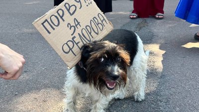 Таблички із гаслами проти звільнення Михайла Федорова принесли учасники акції, 16 липня 2026 року, Хмельницький Таблички із гаслами проти звільнення Михайла Федорова принесли учасники акції, 16 липня 2026 року, Хмельницький