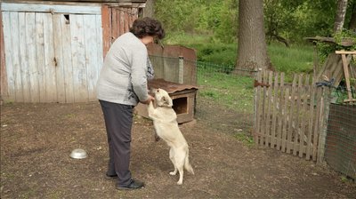 "Перепахали город собі новий": як облаштовуються переселенці з Осоївки на Сумщині "Перепахали город собі новий": як облаштовуються переселенці з Осоївки на Сумщині