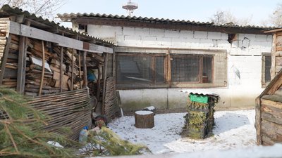 "Він любить, коли йому чухають шийку": австралійського ему з Курщини прихистили в Сумах "Він любить, коли йому чухають шийку": австралійського ему з Курщини прихистили в Сумах
