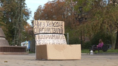 збирає гроші для тварин, гітара, у тернополі, переселенка з Херсона, Євгенія Шаргут збирає гроші для тварин, гітара, у тернополі, переселенка з Херсона, Євгенія Шаргут