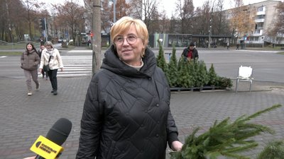 У Луцьку запрацювали ялинкові ярмарки. Скільки коштують хвойні дерева до свят