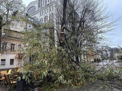 Зламані гілки дерева Одеса