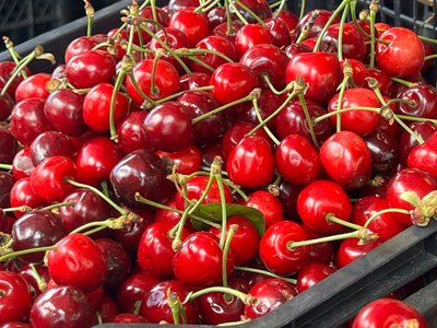На Житньому ринку в Житомирі черешня коштує до 250 гривень за кілог-рам На Житньому ринку в Житомирі черешня коштує до 250 гривень за кілог-рам