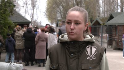 Чотири види кажанів після реабілітації випустили на волю у Рівному