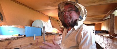 "До бджоли з добром – віддасть вдвічі": хмельницький пасічник 15 років веде кочовий спосіб життя "До бджоли з добром – віддасть вдвічі": хмельницький пасічник 15 років веде кочовий спосіб життя