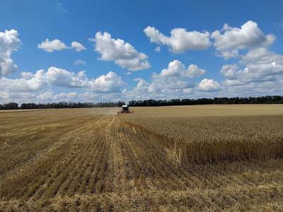 "Кулі пилюку підіймали під ногами": як жнивують на прифронтовій Сумщині "Кулі пилюку підіймали під ногами": як жнивують на прифронтовій Сумщині