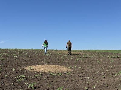 Отруєння байбаків у Диканській ТГ: поліція призначила експертизу Отруєння байбаків у Диканській ТГ: поліція призначила експертизу