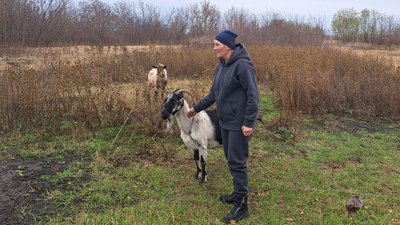 життя люди деокупація окупація жителька Дробишевого Валентина Піддубна Дробишеве Донецька область 8 листопада 2024 рік