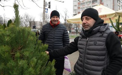 Ставлять до Миколая: у Черкасах розпочали роботу ялинкові ярмарки Ставлять до Миколая: у Черкасах розпочали роботу ялинкові ярмарки
