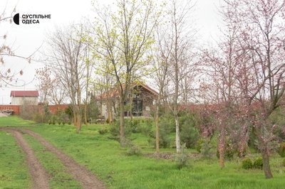 "Третя весна без сина": як на Одещині доглядають сад загиблого військового Бориса Айзенберга "Третя весна без сина": як на Одещині доглядають сад загиблого військового Бориса Айзенберга