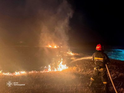 Згоріли понад 11 гектарів: на Черкащині виникло 11 пожеж сухої рослинності