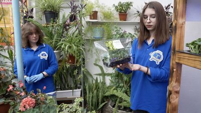 Вирощують та продають для ЗСУ. Як учні вінницького ліцею розводять мікрогрін Вирощують та продають для ЗСУ. Як учні вінницького ліцею розводять мікрогрін