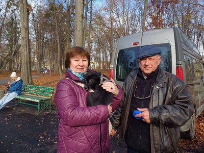 У Чернівцях на виставках прилаштували майже 20 безпритульних собак У Чернівцях на виставках прилаштували майже 20 безпритульних собак