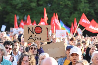 У Німеччині пройшли протести проти ультраправої партії AfD