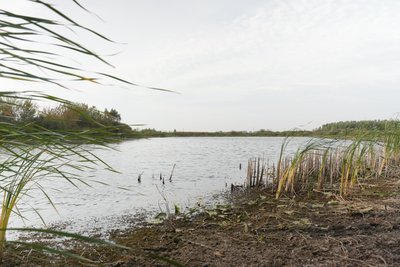 “Пошкодили човни та обмежили доступ до водойми”: жителі села Скуносеве скаржаться на захват водойми підприємцем