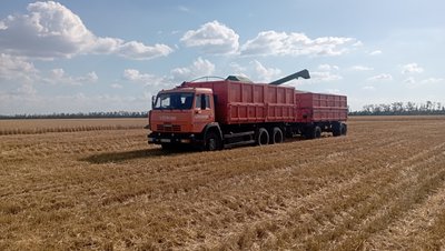 Збирають врожай на полях, що були заміновані. Криворізькі аграрії розпочали жнива Збирають врожай на полях, що були заміновані. Криворізькі аграрії розпочали жнива