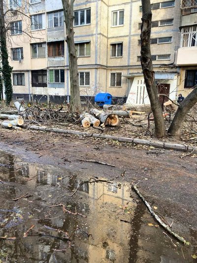 В Одесі після негоди залишаються поваленими дерева та великі гілки на 86 локаціях — мерія В Одесі після негоди залишаються поваленими дерева та великі гілки на 86 локаціях — мерія