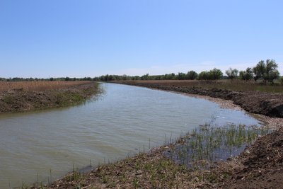 На Одещині розчистили канал, який наповнюватиме водою два озера На Одещині розчистили канал, який наповнюватиме водою два озера