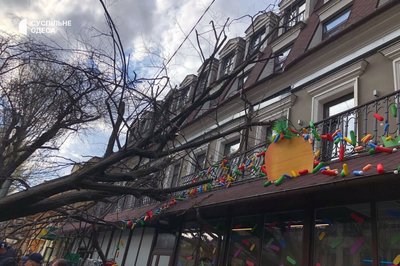 В Одесі дерево впало на дах магазину та пошкодило авто В Одесі дерево впало на дах магазину та пошкодило авто