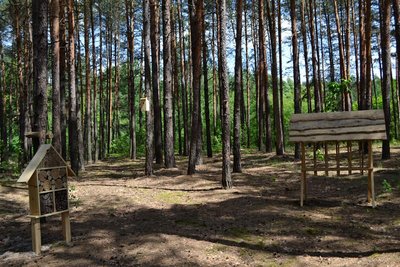 Одне з місць відпочинку на Хмельниччині, облаштоване у лісі Одне з місць відпочинку на Хмельниччині, облаштоване у лісі
