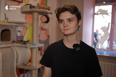 «Котики — це не іграшки»: як за понад пів року змінилося котокафе в Одесі «Котики — це не іграшки»: як за понад пів року змінилося котокафе в Одесі