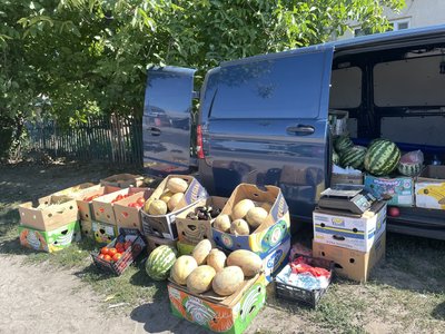2026-го Полтавщина посіла третє місце в Україні за вирощуванням баштану: який урожай 2026-го Полтавщина посіла третє місце в Україні за вирощуванням баштану: який урожай