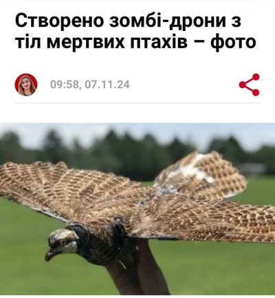 "Здається, я заходжу в наш сад…" Нотатки на полях тривалістю у п'ять років — колонка Катерини Яковленко "Здається, я заходжу в наш сад…" Нотатки на полях тривалістю у п'ять років — колонка Катерини Яковленко