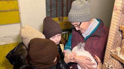 Як на Рівненщині зимують тварини у пришкільному мінізоопарку Як на Рівненщині зимують тварини у пришкільному мінізоопарку