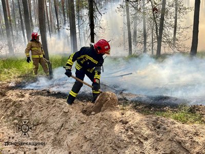 Людей просять позачиняти вікна: у селі на Черкащині горить очерет Людей просять позачиняти вікна: у селі на Черкащині горить очерет