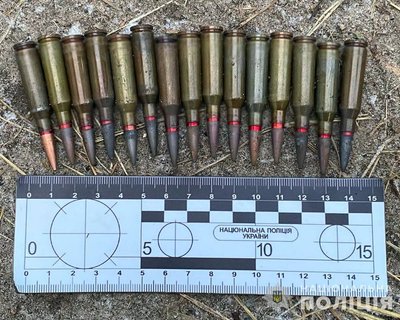 У жителя Житомирщини поліція вилучила зброю та гранати У жителя Житомирщини поліція вилучила зброю та гранати