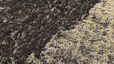 Посівна на Кіровоградщині: як ціни на пальне й добрива вплинуть на врожай Посівна на Кіровоградщині: як ціни на пальне й добрива вплинуть на врожай