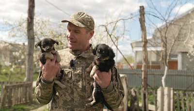 тернопіль, войтів, ветеран, цуценята, 4 травня 2026 року тернопіль, войтів, ветеран, цуценята, 4 травня 2026 року