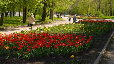 Вхід у кропивницький Дендропарк: платний чи ні Вхід у кропивницький Дендропарк: платний чи ні