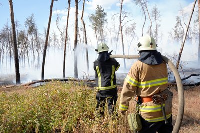 З початку 2024 року на Харківщині горіли майже 6500 пожеж, найбільше — у вересні: статистика З початку 2024 року на Харківщині горіли майже 6500 пожеж, найбільше — у вересні: статистика