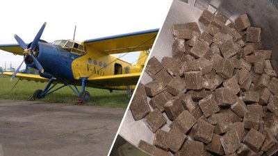 Укуси скажених тварин: як на Миколаївщині протидіють поширенню хвороби