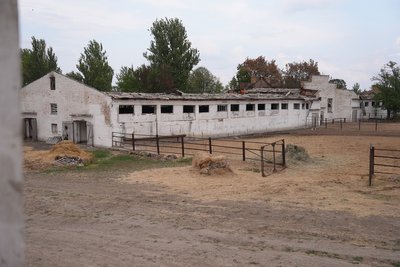 Згоріли стайні, тварини — у стресі. Після удару "шахедами" з кінзаводу Дніпропетровщини евакуювали останніх лошат Згоріли стайні, тварини — у стресі. Після удару "шахедами" з кінзаводу Дніпропетровщини евакуювали останніх лошат